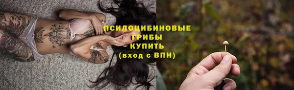 соль ск Алзамай