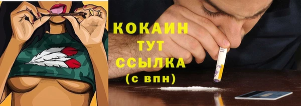 соль ск Алзамай