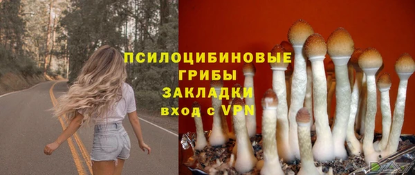 ешки Алексин