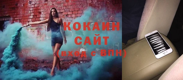 ешки Алексин